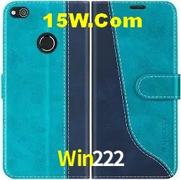 Experiência VIP Win222